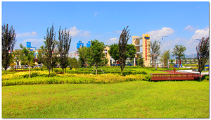 休闲广场